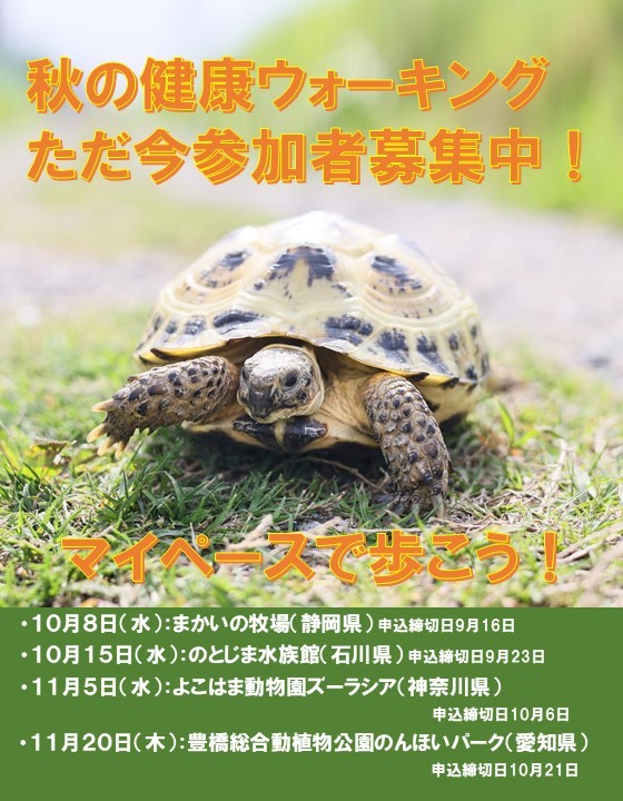 秋の健康ウォーキング　参加者募集中