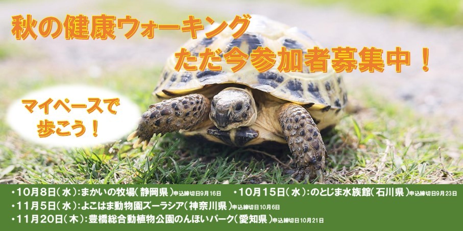 秋の健康ウォーキング　参加者募集中